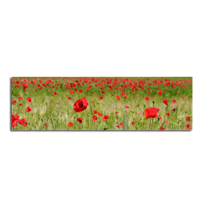 Plus de détails sur MARQUE-PAGE COQUELICOTS DANS LES CHAMPS